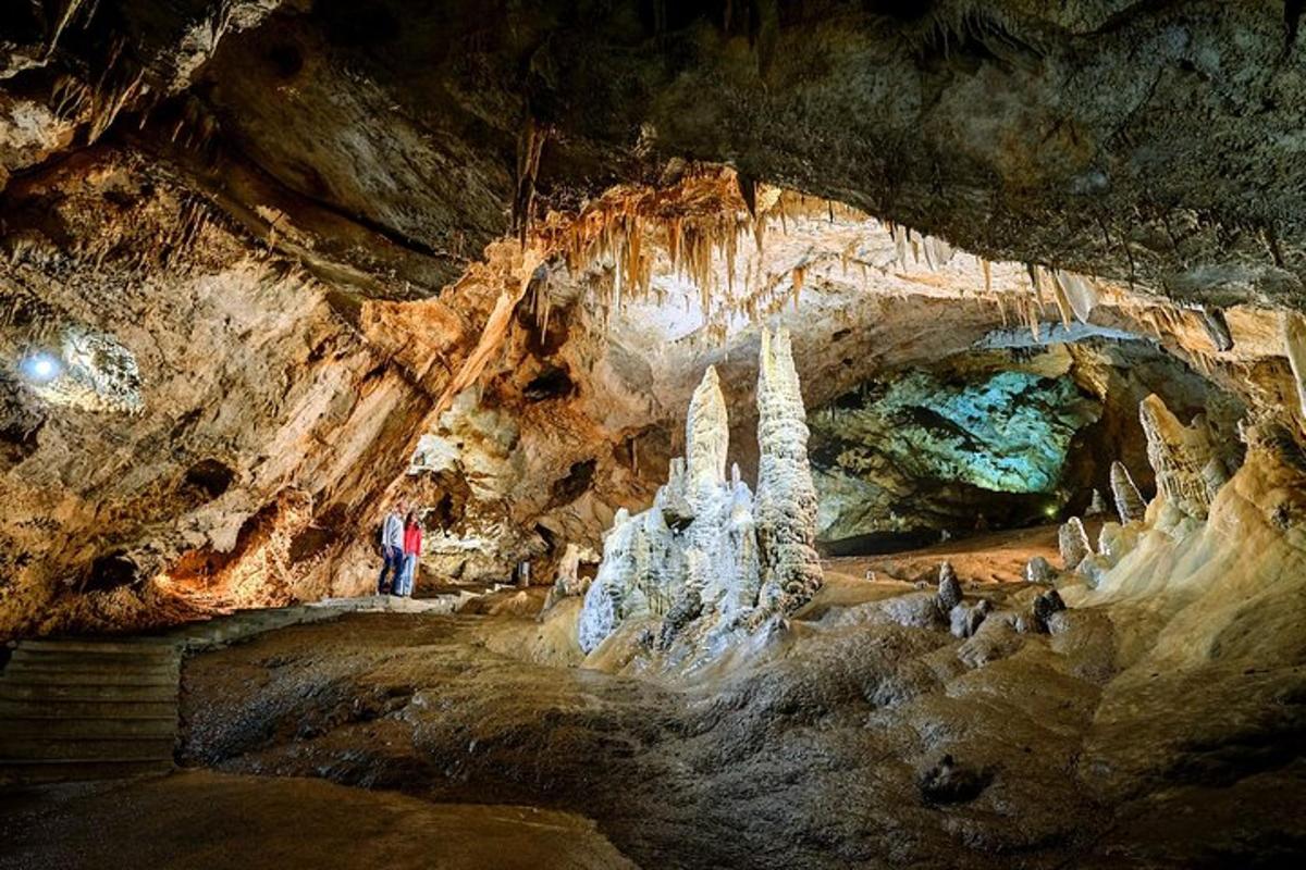 a person standing in a cave with a group of animals
