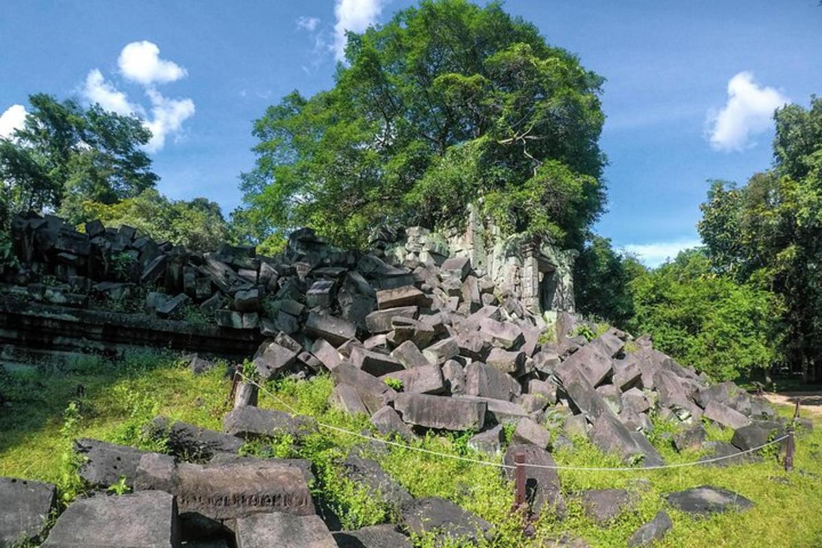 timbunan batu di padang dengan pokok