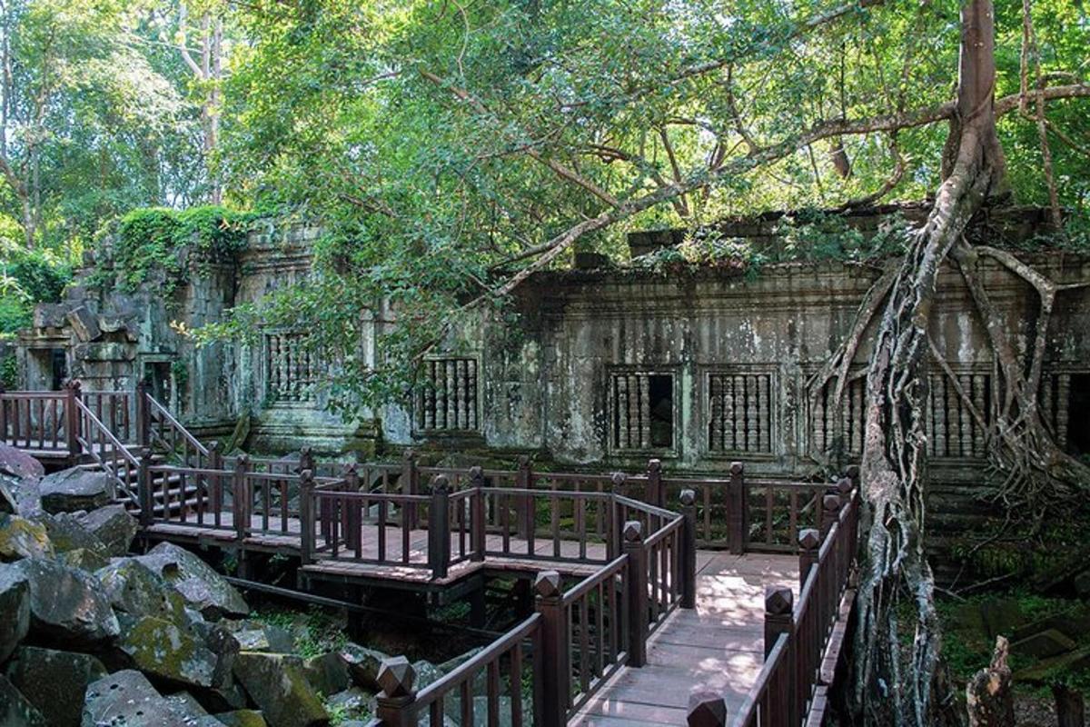 một tòa nhà bằng đá có cầu trong rừng