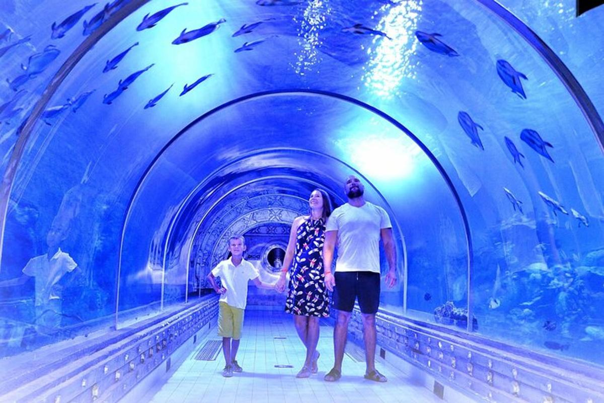 Photo de l’attraction numéro 1.