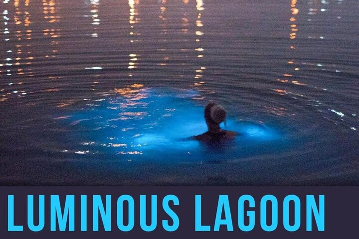 seseorang yang berenang di dalam air dengan perkataan lagun bercahaya
