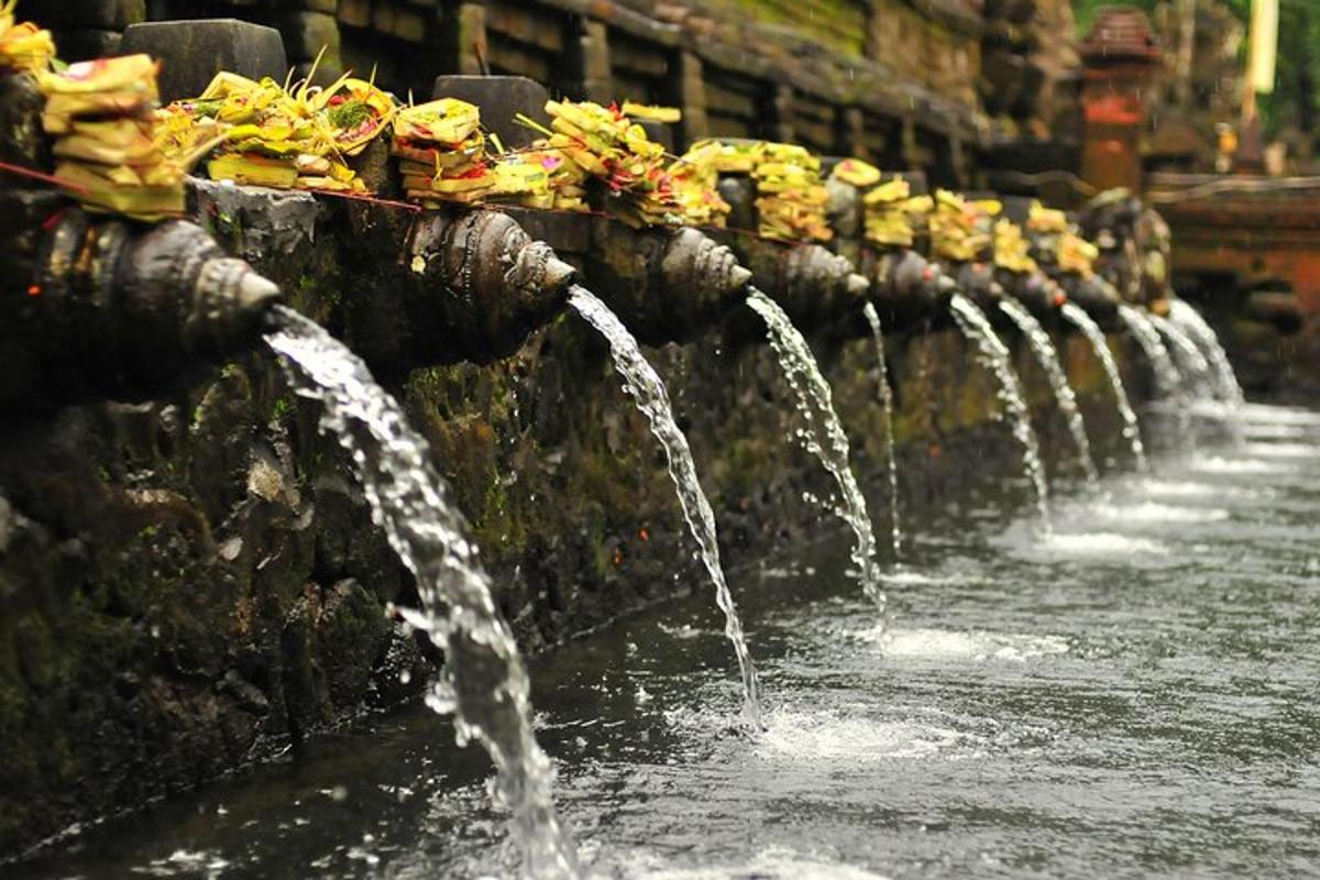 Una hilera de fuentes de agua con flores en la parte superior.