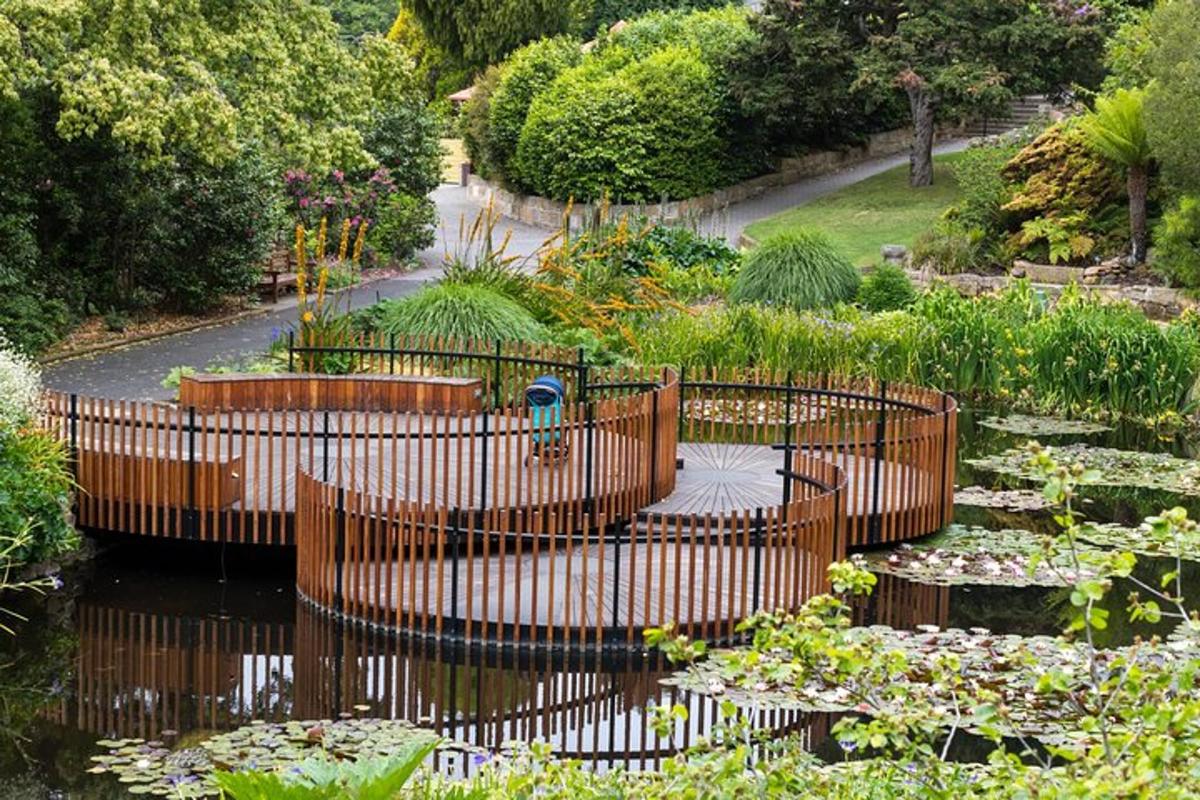 un giardino con ninfee e un ponte di legno
