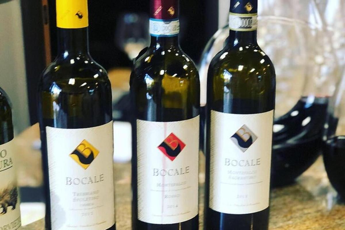 tre bottiglie di vino appoggiate su un tavolo