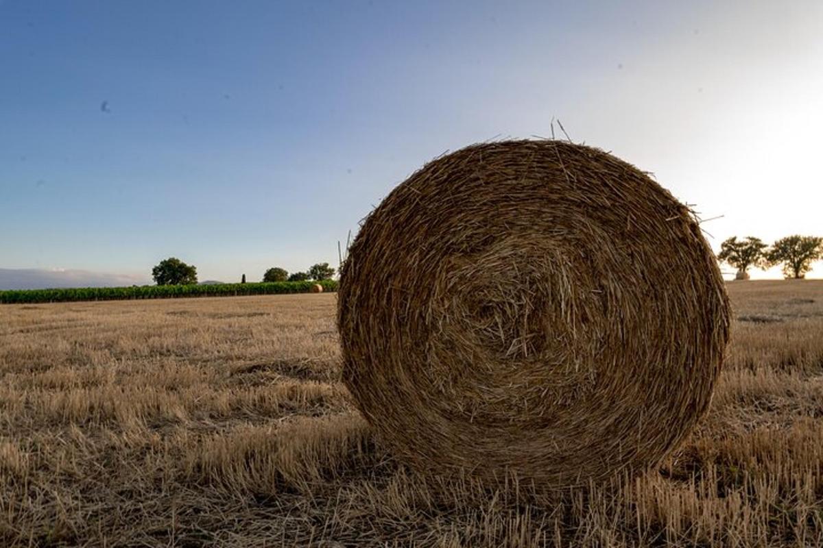 una grande pila di fieno in un campo
