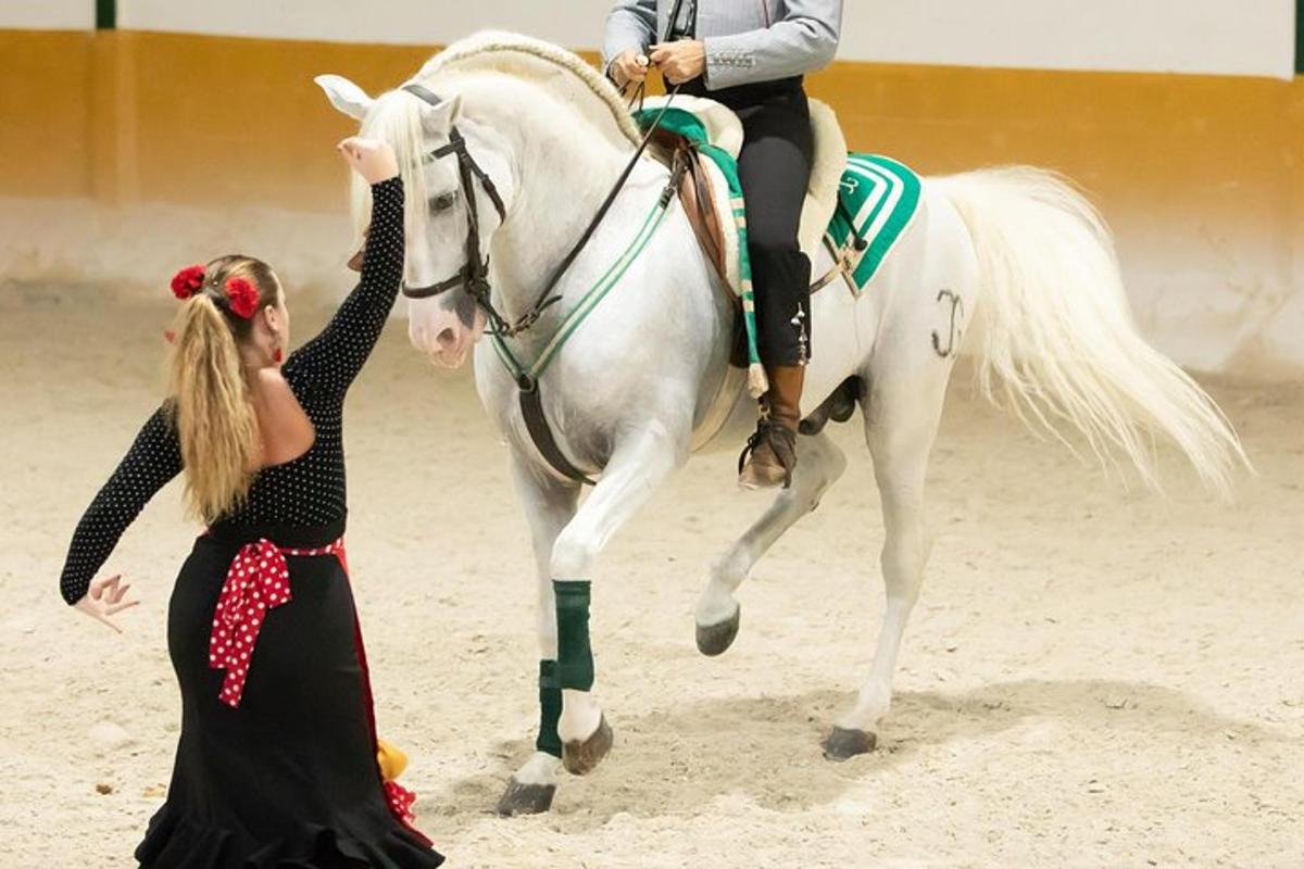 a girl is reaching up to pet a horse