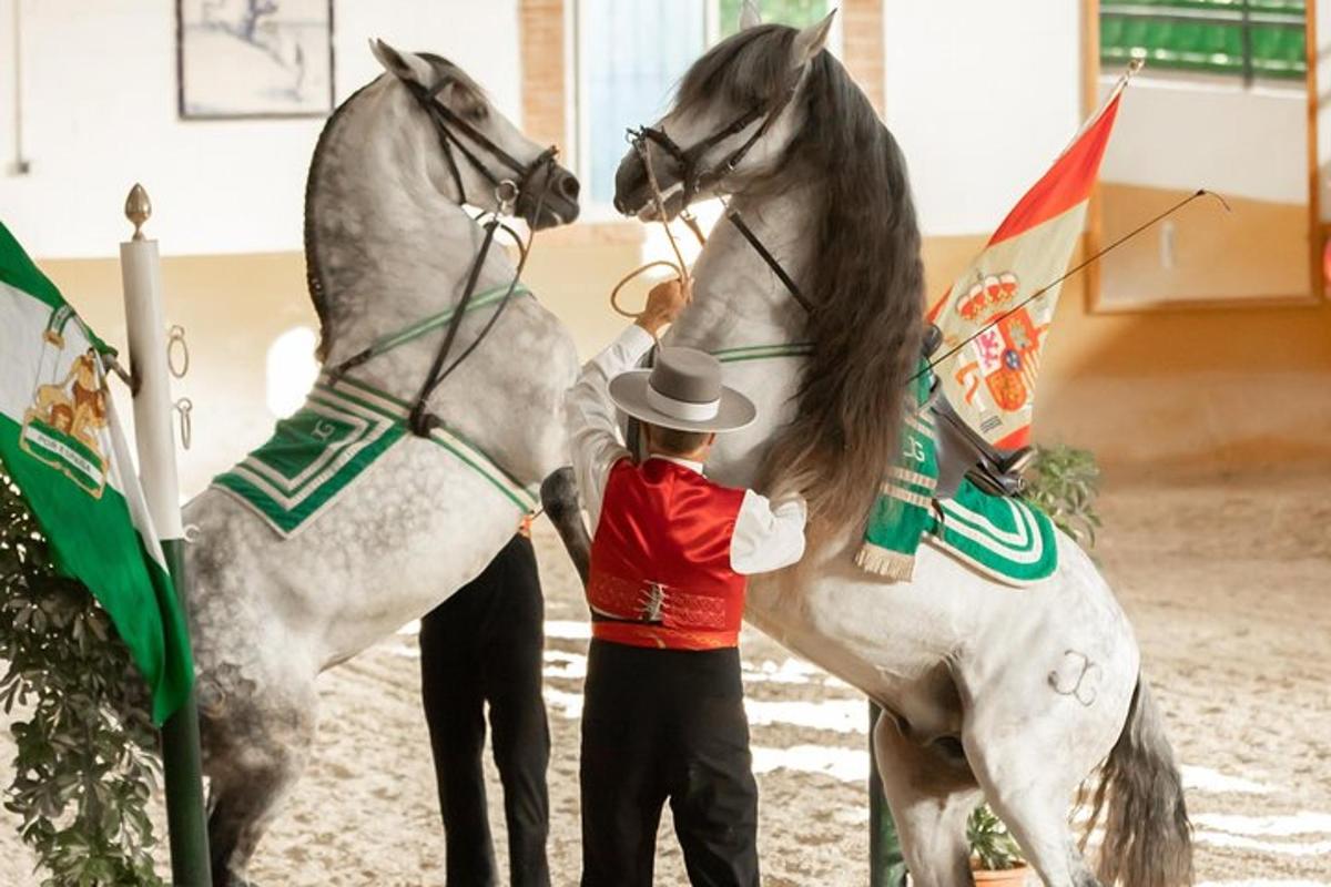 a man standing next to a grey horse