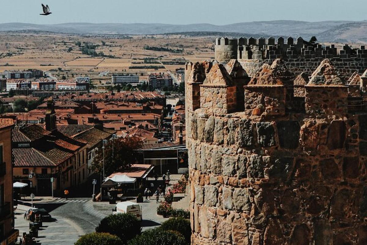 un pájaro volando sobre una ciudad con un castillo