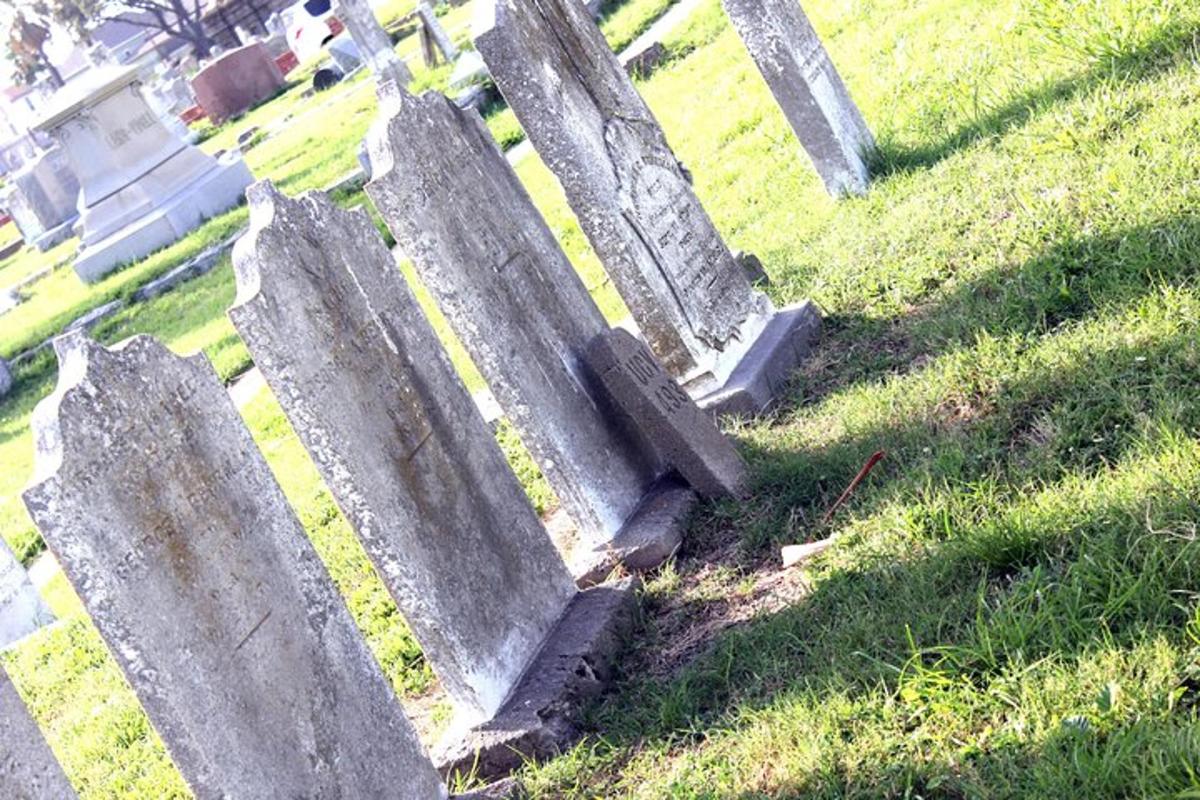 a group of tombstones in the grass in a cemetery