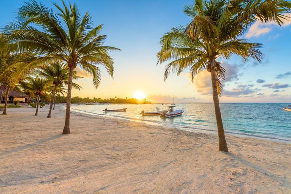 una spiaggia con palme e barche in acqua