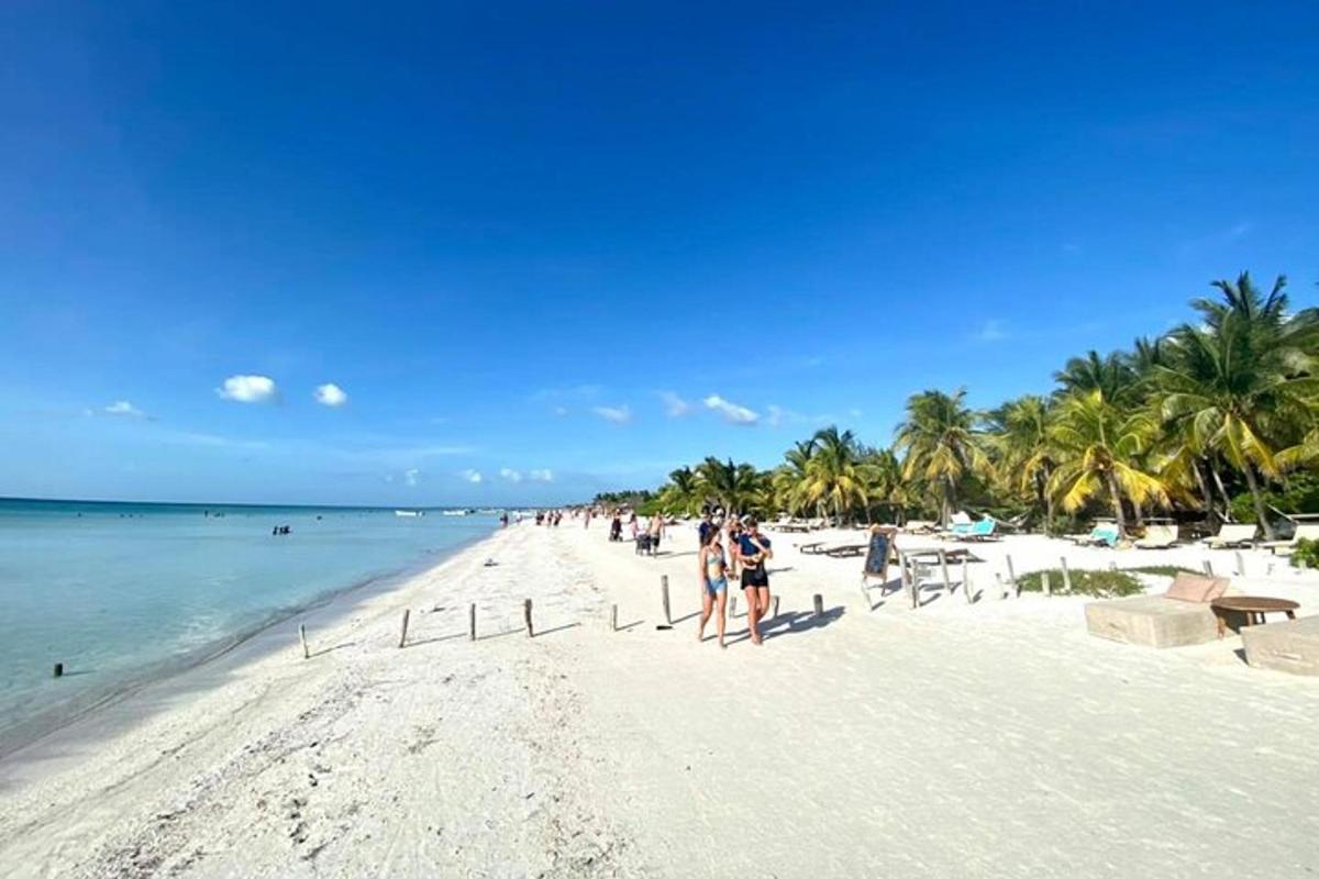 um grupo de pessoas caminhando na praia