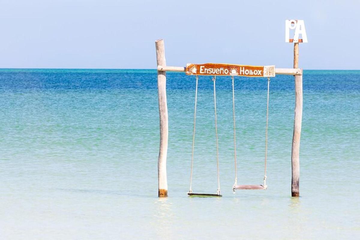 un'altalena nell'acqua su una spiaggia