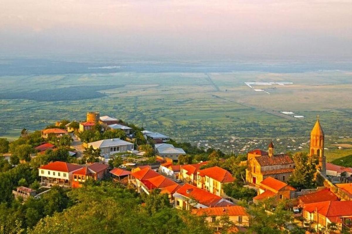 una vista aerea di una città con i tetti rossi