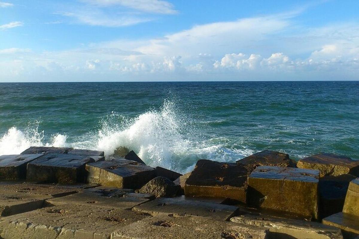vlna tříštící se o břeh oceánu