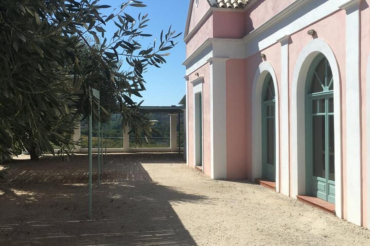 Un edificio rosa con un camino al lado de un árbol.