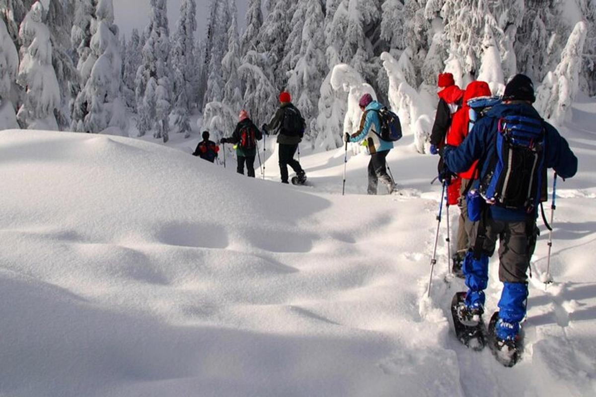 a group of people on skis in the snow