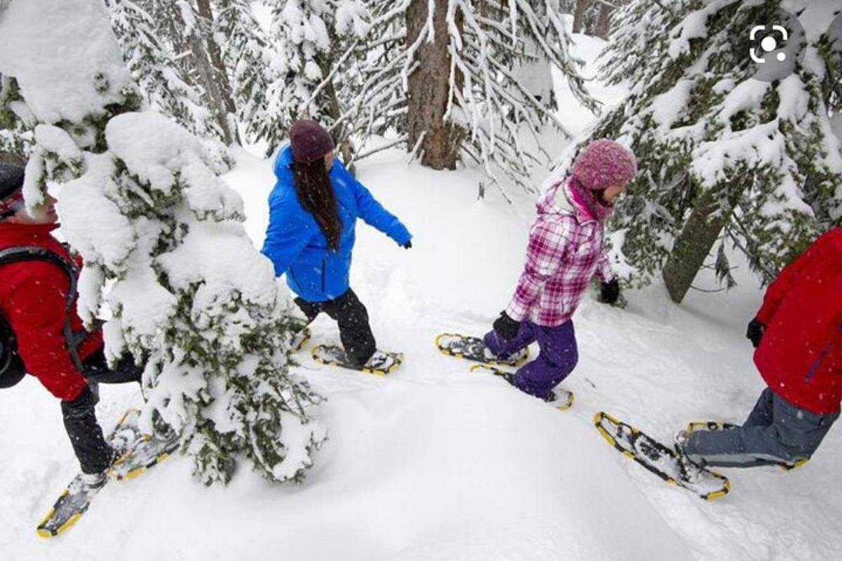 a group of people on skis in the snow
