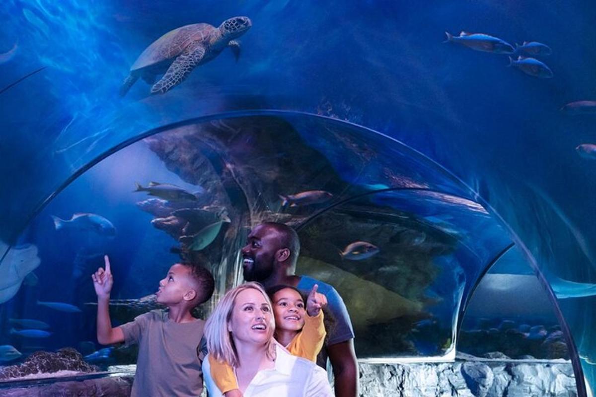 a group of people standing in front of an aquarium