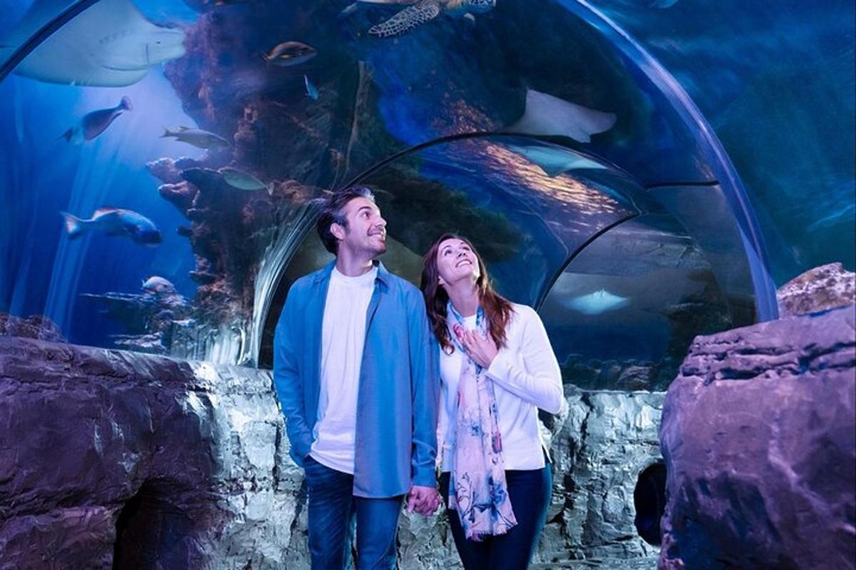 a man and a woman standing in front of an aquarium