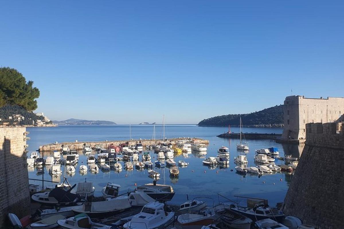 ένα σωρό βάρκες είναι αγκυροβολημένες σε ένα λιμάνι