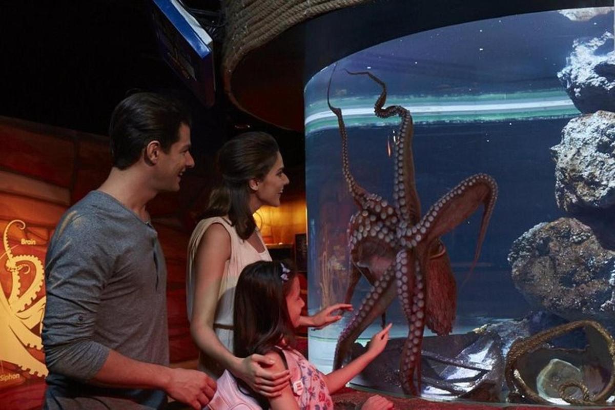 a family looking at an octopus in a fish tank