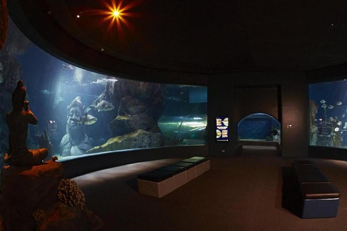 a room with an aquarium with a large fish tank
