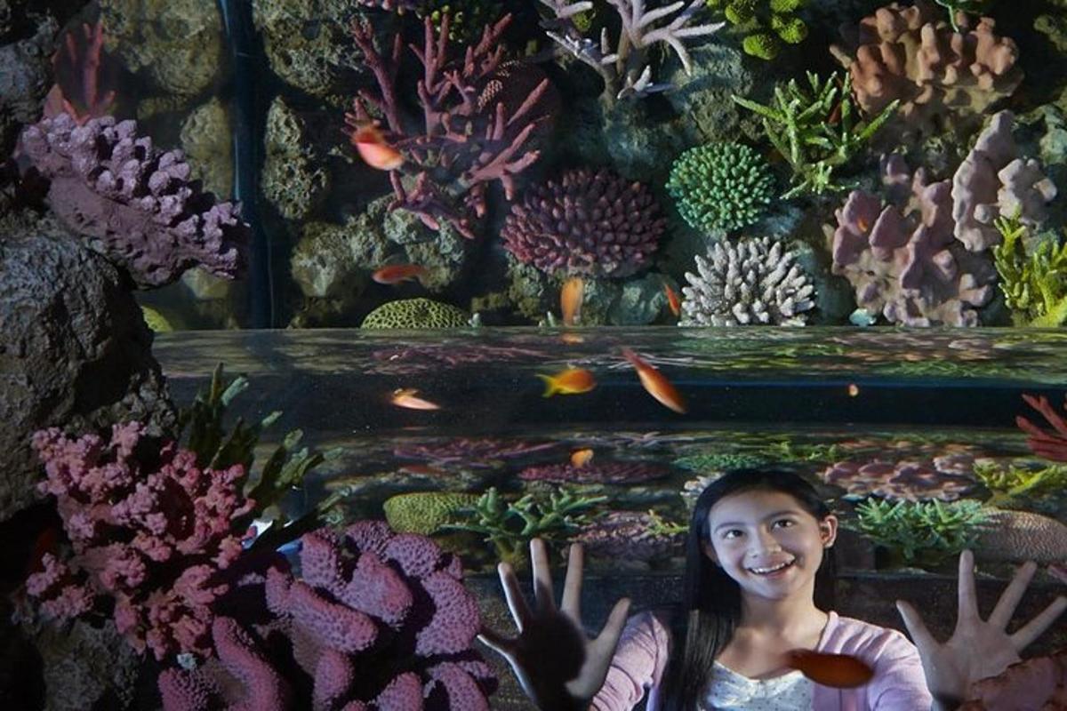 a girl standing in front of a fish tank