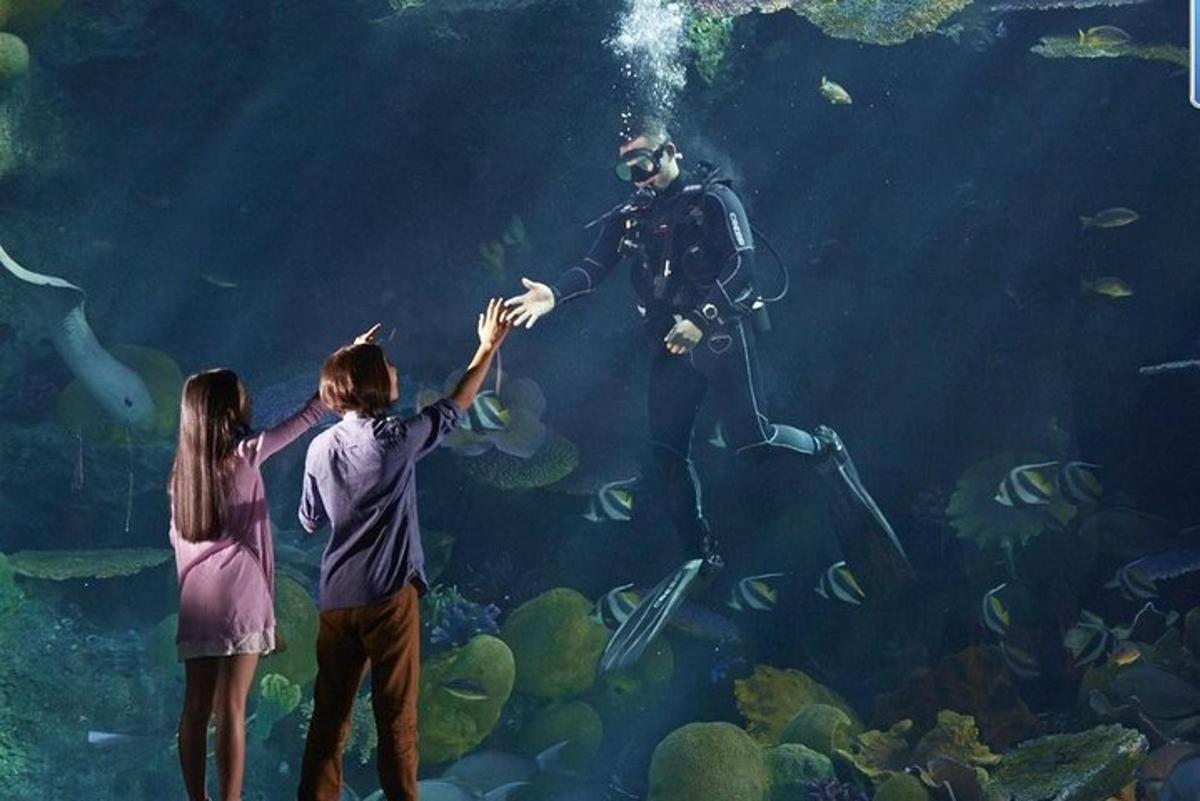 two children reaching up to a diver in an aquarium