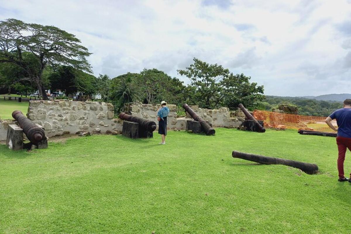 a man standing in a field looking at some logs