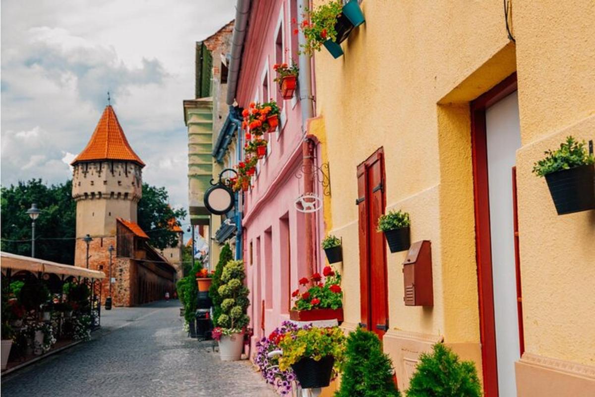 Una calle con flores y un castillo al fondo.