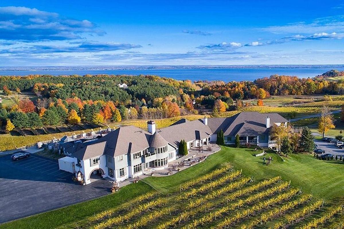 an aerial view of a large estate with a vineyard