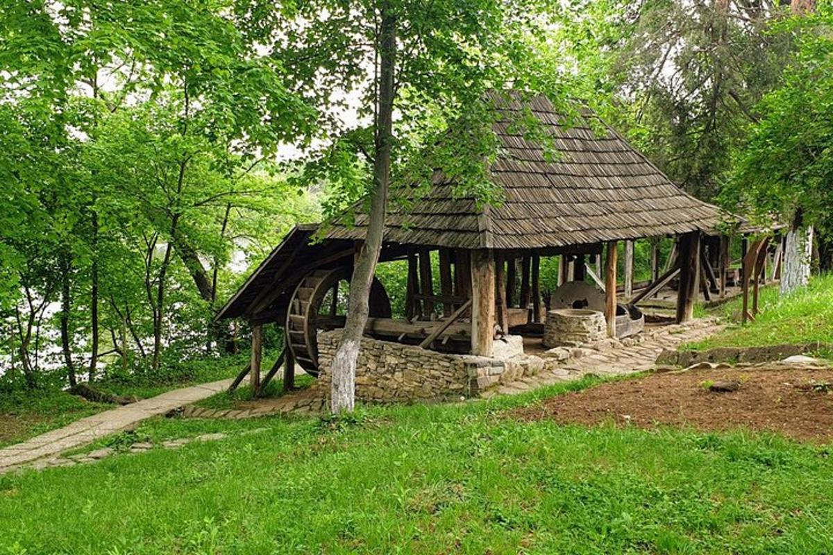 Fotografia 7 a atracției
