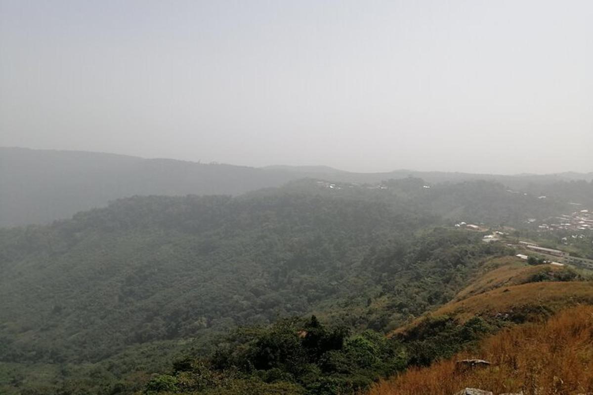 Una vista de una montaña con árboles y una ciudad.