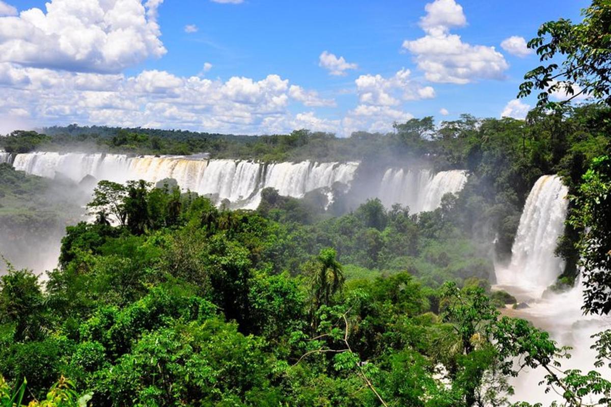 una vista de una cascada en la selva