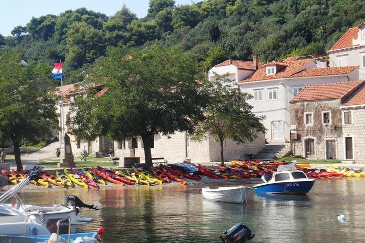 hromada lodí ve vodě vedle budov