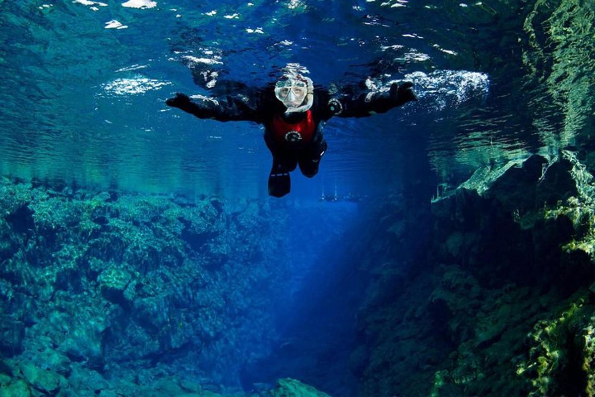 oseba plava v vodi blizu oceana