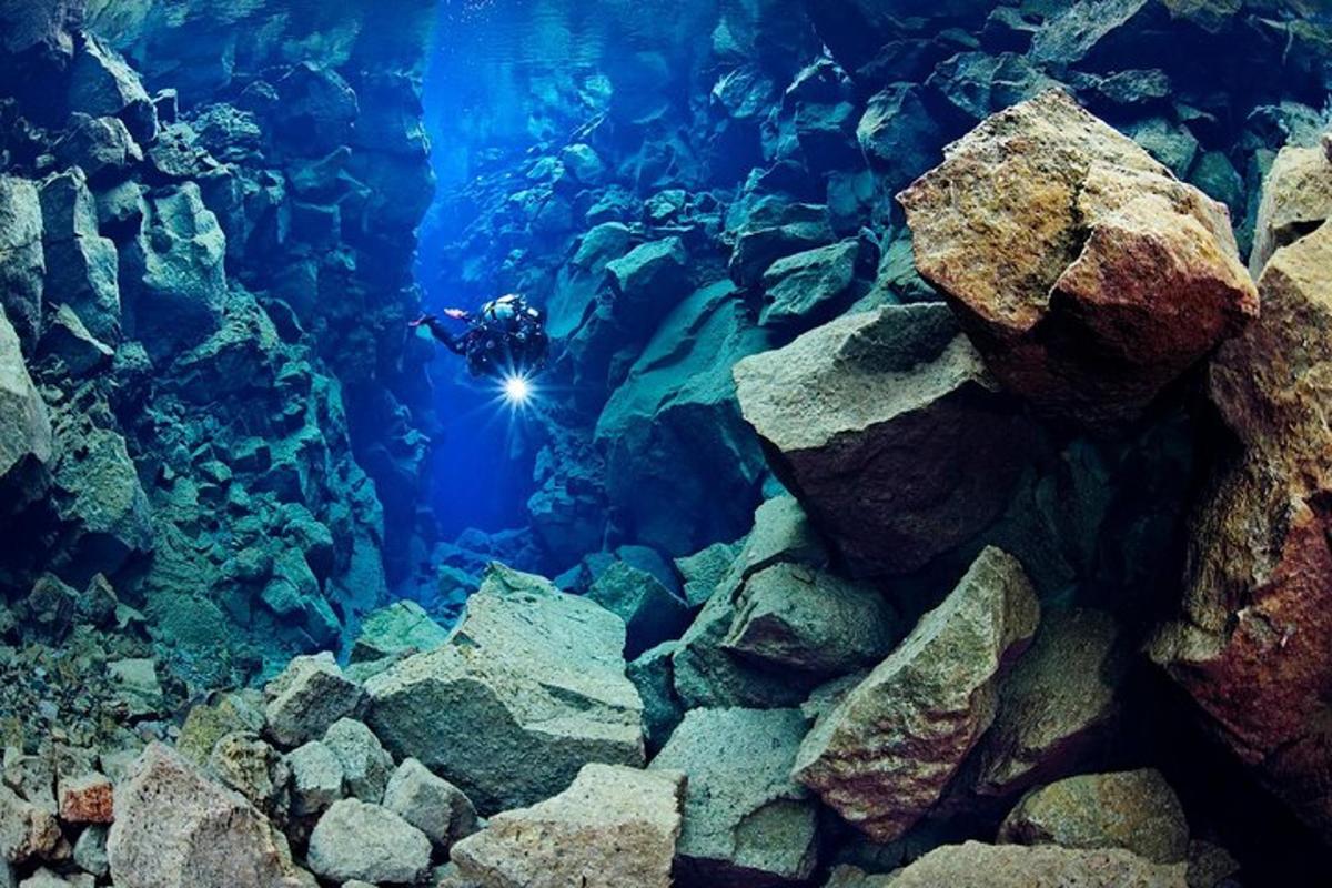isang maninisid sa isang aquarium na may mga bato at tubig