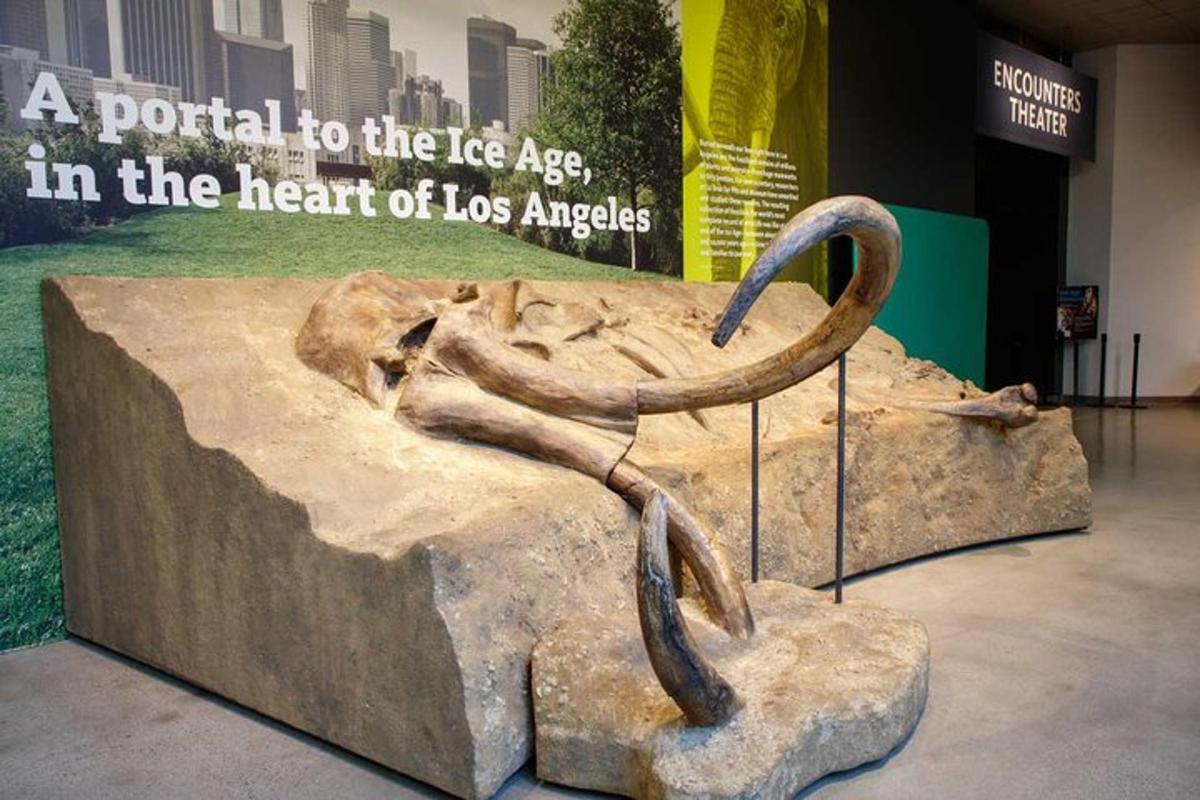 a sculpture of a snake on a rock in a museum