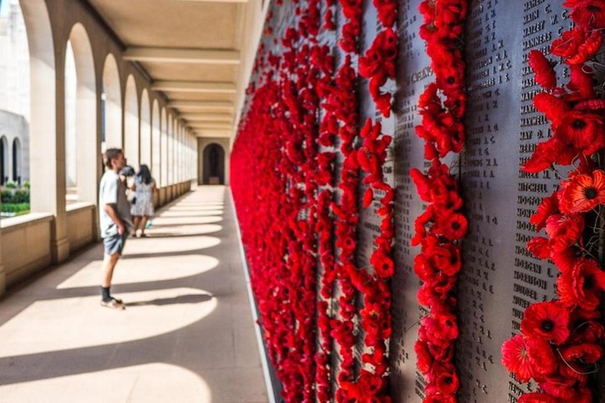 a wall covered in red flowers on a building
