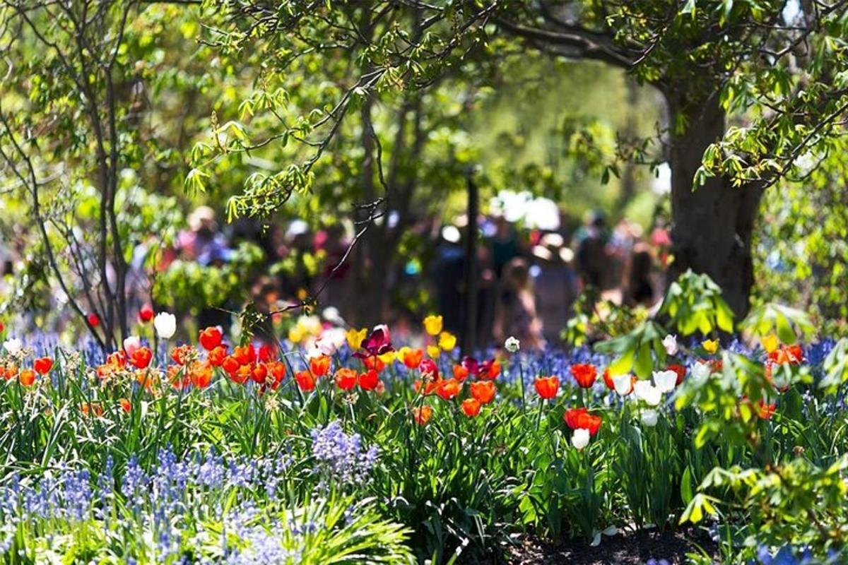 a garden with colorful flowers and people in the background