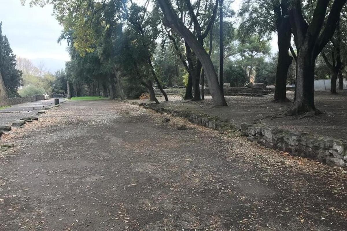 una strada sterrata in un parco con alberi