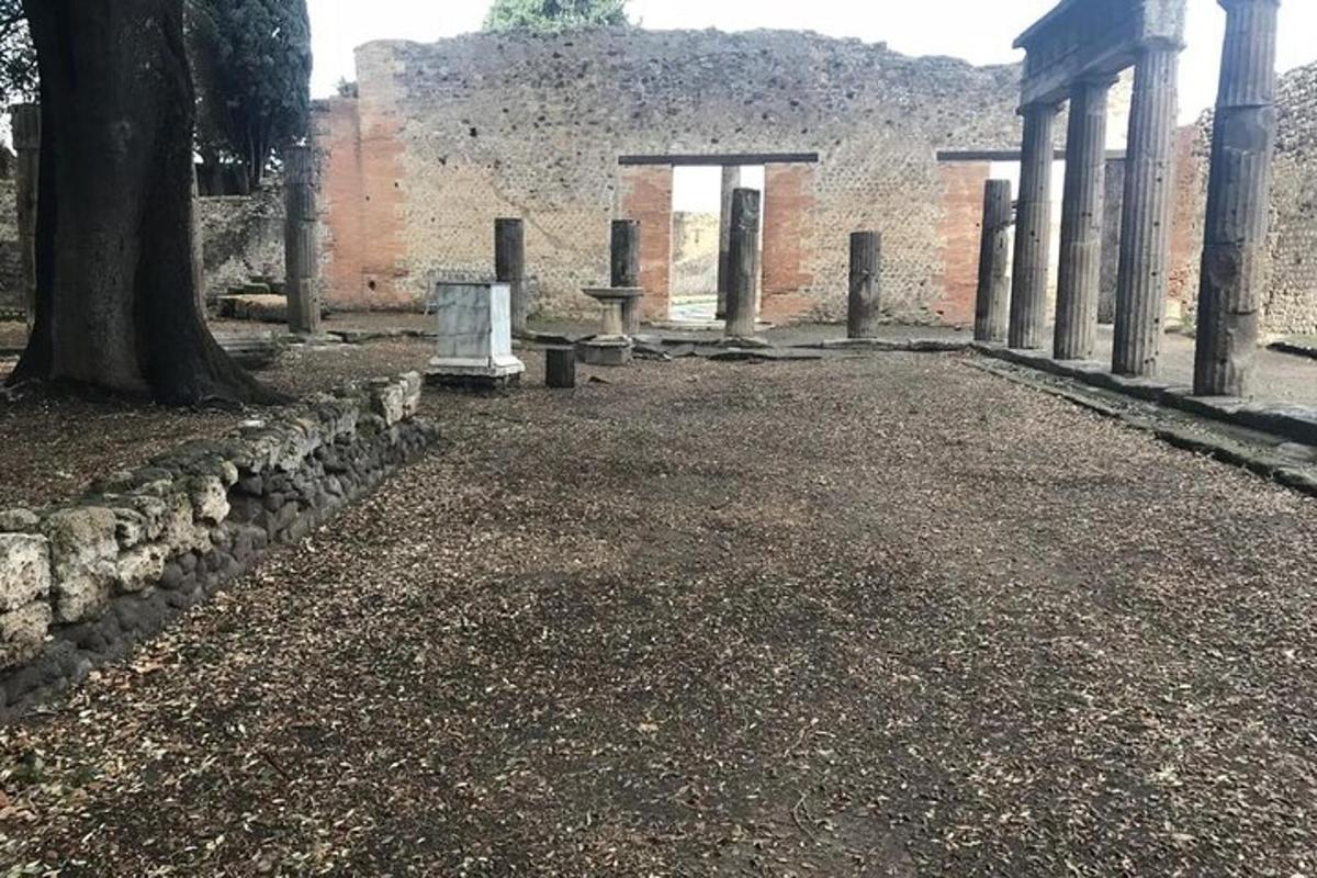 空荡荡的庭院，有一棵树和一栋建筑