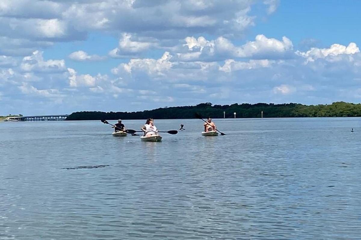 Skupina ljudi se s kajakom vozi po jezeru