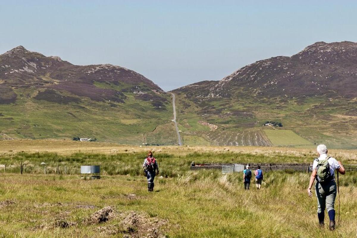 people walking in a field with mountains in the background