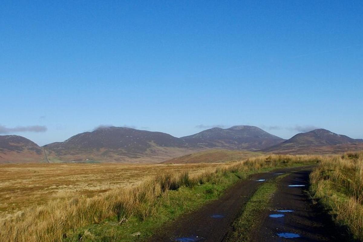 a dirt road in a field with mountains in the background