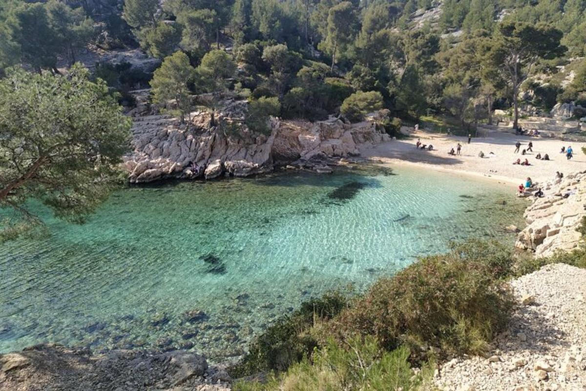 μια παραλία με πολύ κόσμο στο νερό