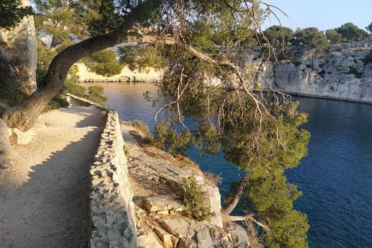 ένα δέντρο δίπλα σε ένα υδάτινο σώμα