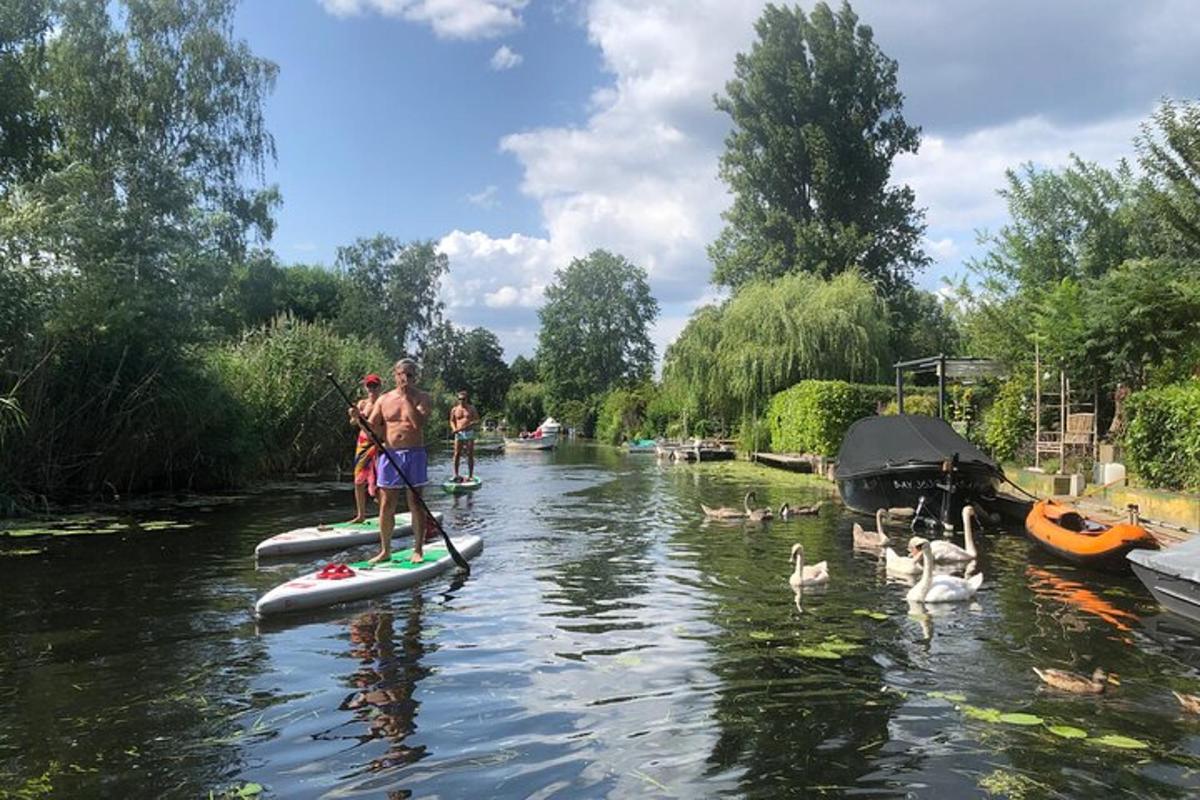 skupina ljudi na SUP deskah na reki