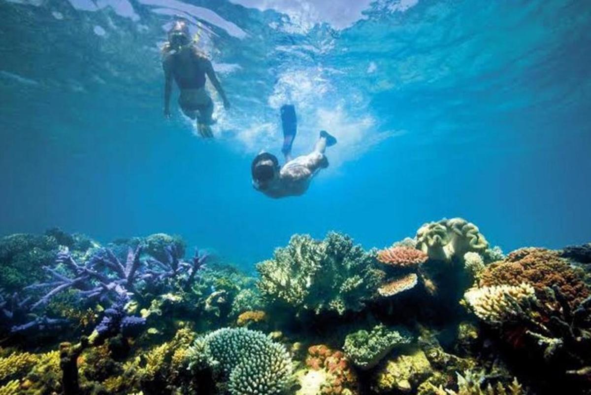 two people swimming in the water near a coral reef