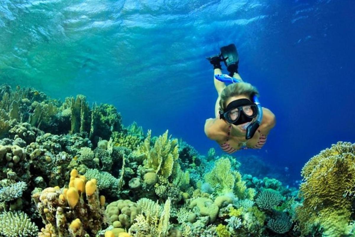 a person is swimming over a coral reef